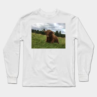 Scottish Highland Cattle Bull 1513 Long Sleeve T-Shirt